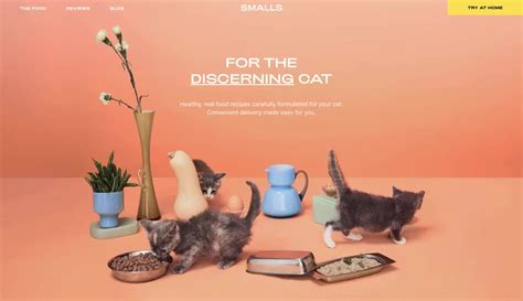 Like some domestic cats, small exotic cats mark their territory by spraying. Smalls: Real Food for Cats - smallsforsmalls - Design ...