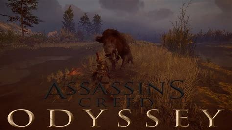Der legendäre kalydonische Eber Let s Play Assassin s Creed Odyssey
