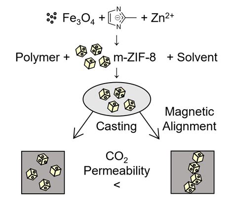 Membranes Free Full Text Magnetically Aligned And Enriched Pathways Of Zeolitic Imidazolate