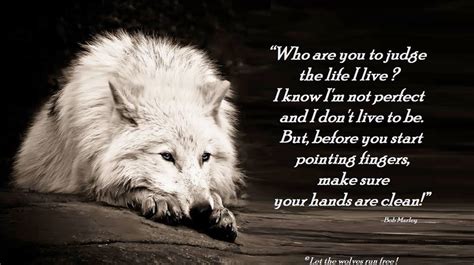 Wolf Friendship Quotes Quotesgram