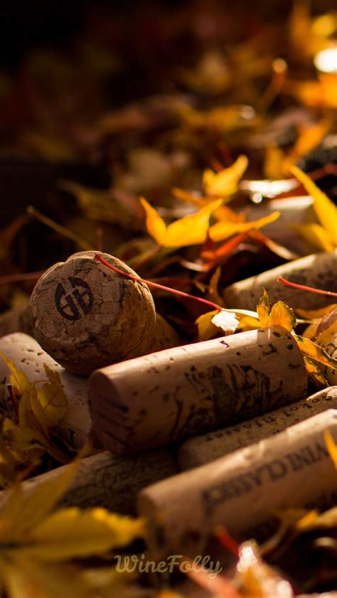 Wine Corks In Falwinel Background Wine Bottle Photography Gastro Wine