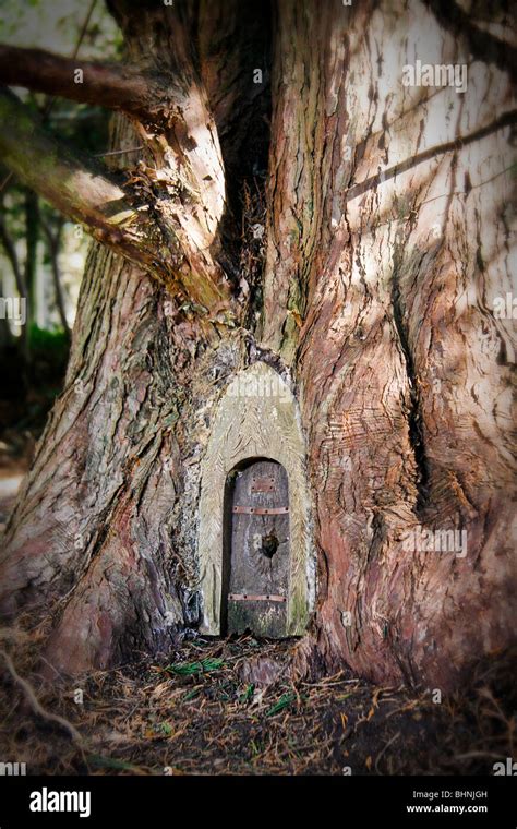 A Fairy Door In A Magical Woodland Tree Stock Photo Alamy
