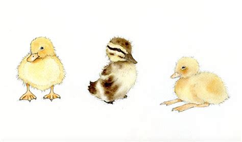 Adorable Art Learn How To Draw And Paint A Duckling Craftsy