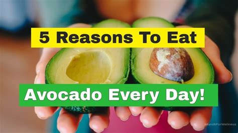 🥑 How To Eat Avocado Benefits And Ideas 👍 5 Reasons To Eat Avocado Every