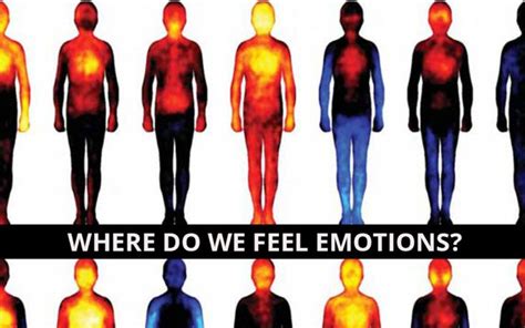 wondering where you feel emotions in your body these images will show you emotions