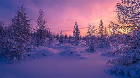 2560x1440 Snow Wallpapers Top Free 2560x1440 Snow Backgrounds