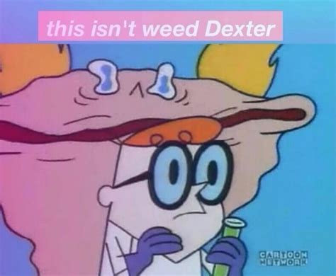 This Isn T Weed Dexter Shaggy This Isn T Weed Know Your Meme