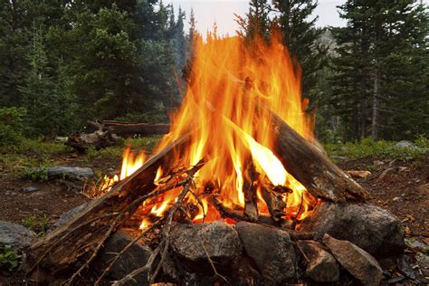 Otros 17 vecinos de diversas edades fueron atendidos por summa112 por inhalación leve y dados de alta en el lugar de los hechos. Importancia del fuego en la evolución humana: cambios del ...