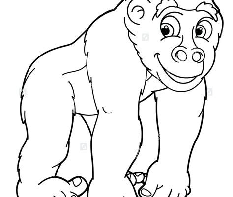 Silverback Gorilla Coloring Pages At Getdrawings Free Download