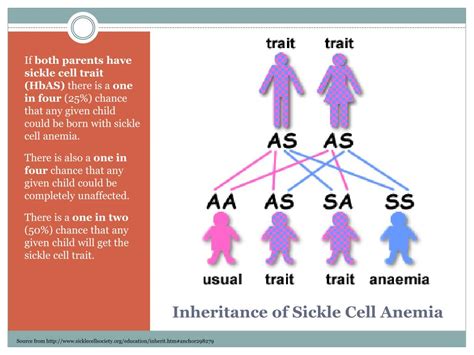 Ppt Sickle Cell Anemia Powerpoint Presentation Free Download Id