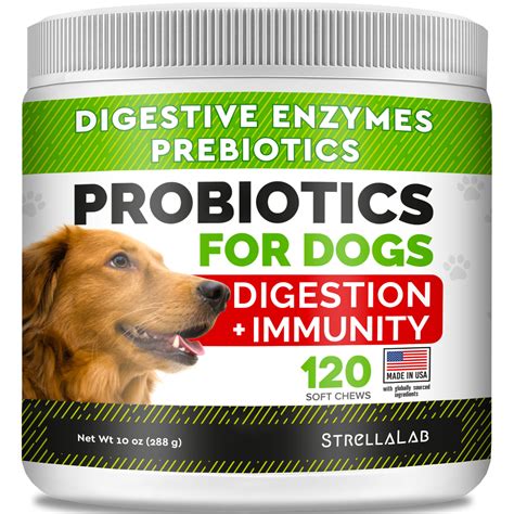 Probiotics For Dogs 120 Dog Probiotics Treats Digestive Enzymes