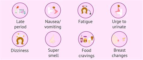 Pregnancy Symptoms