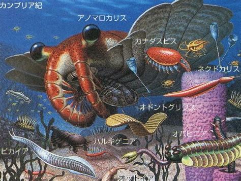 古代 生物 画像 147835 nowazo