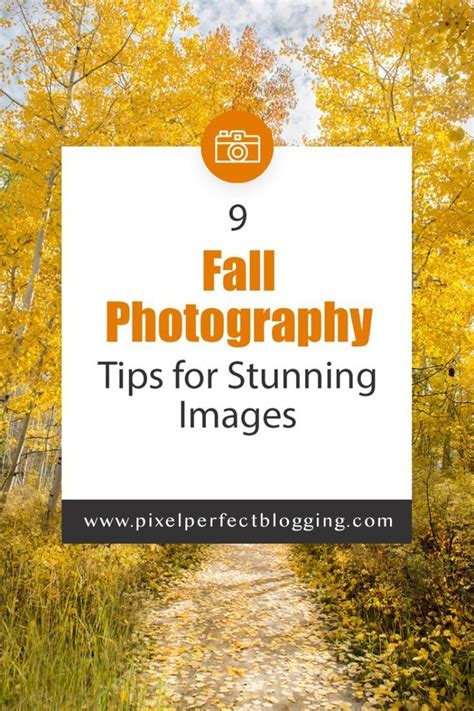 9 Fall Photography Tips For Stunning Images Autumn Photography