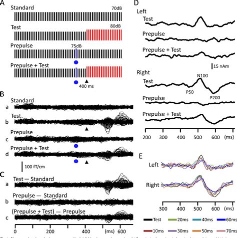 Figure 1 From Gabaergic Mechanisms Involved In The Prepulse Inhibition