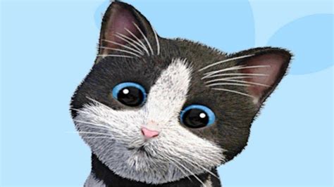 Daily Kitten Virtual Cat Pet Fun Cat Care Game Youtube