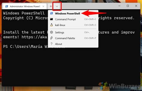 How To Find The Powershell Version In Windows 11 And Earlier
