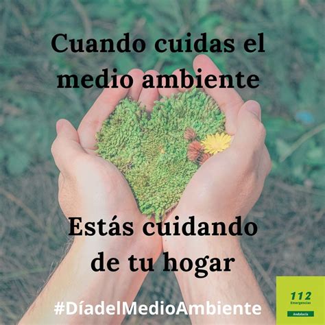 Hoy Se Celebra El D A Mundial Del Medio Ambiente Puerta Barrera