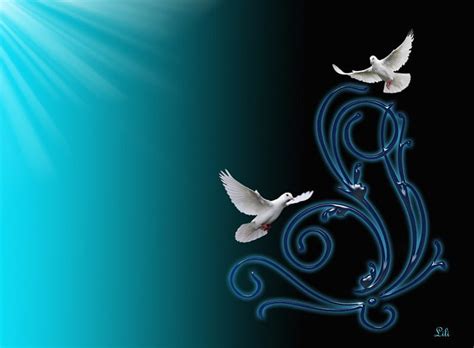 Doves Dove White Two Blue Hd Wallpaper Peakpx