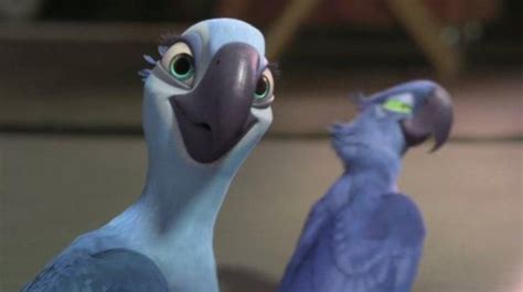 Comic Movies Movie Characters Rio Movie Parrot Childhood Animation