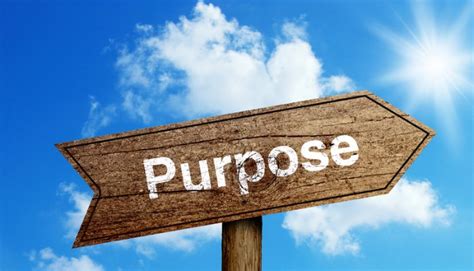 The Importance Of Purpose Consulting