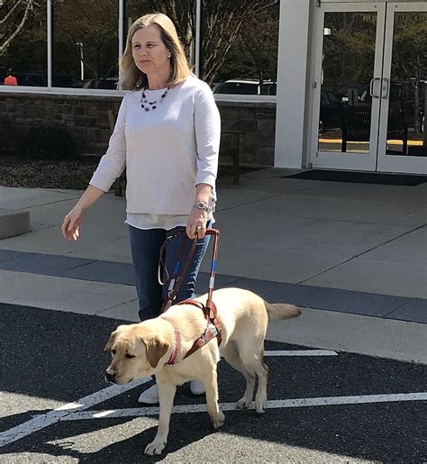 Blind Herndon Woman Ted Guide Dog