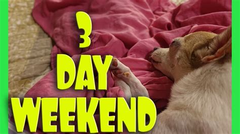 3 Day Weekend Youtube