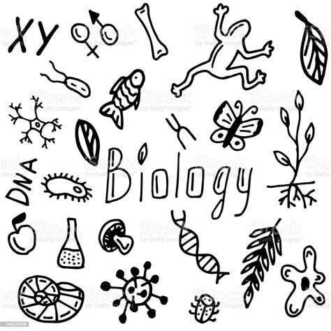 Set Of Biology Stock Illustration Download Image Now Design Doodle