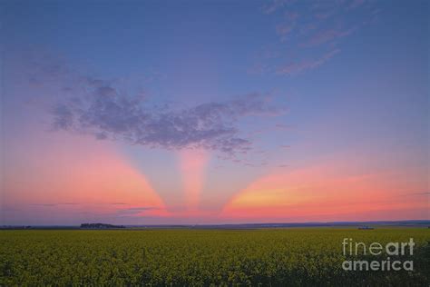 Crepuscular Rays At Sunset Alberta Photograph By Alan Dyer Fine Art