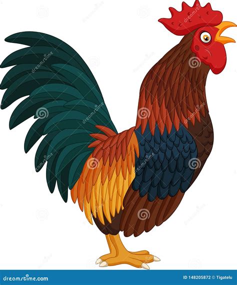 Cartoon Rooster Crowing On White Background Stock Vector Illustration