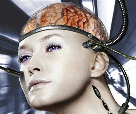 Brain Case Cyborgs Art Female Cyborg Robot Girl