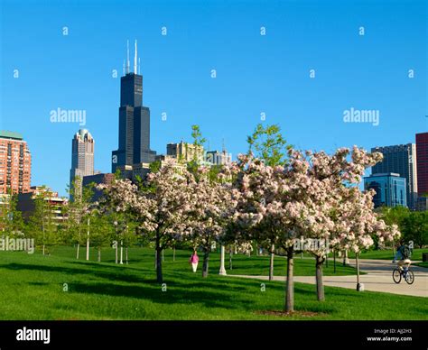 Chicago Skyline Sears Tower Spring Hi Res Stock Photography And Images