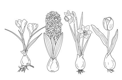Mandala frühling zum kostenlosen ausdrucken und anmalen. Ausmalbilder Für Senioren Frühling