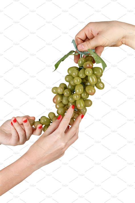Male And Female Hands Hold Grapevine ~ Food And Drink Photos ~ Creative