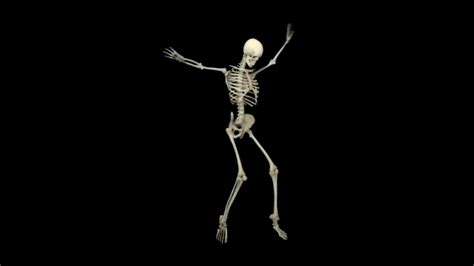 Funny And Cool Dance Of Skeletal Youtube