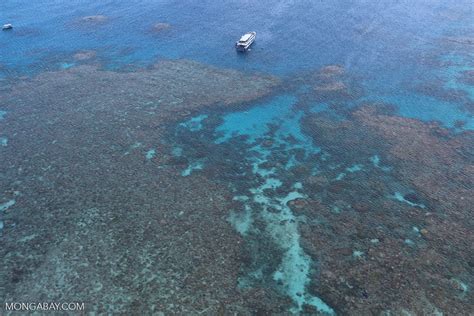 Hastings Reef In Australia Australiagreatbarrierreef0236