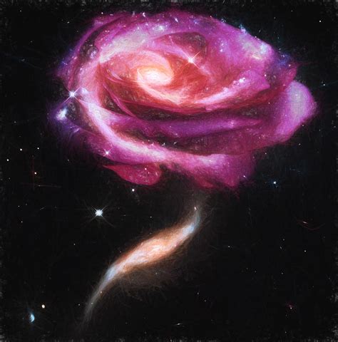 Rose Galaxies Mixed Media By John Haldane