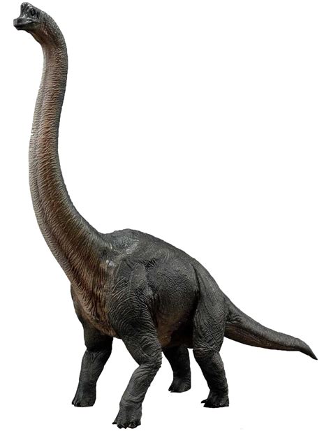 Jurassic World Brachiosaurus Render 5 By Tsilvadino On Deviantart