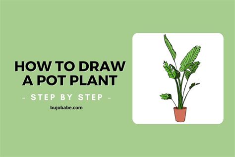 How To Draw A Pot Plant Step By Step Drawing Tutorial Bujo Babe