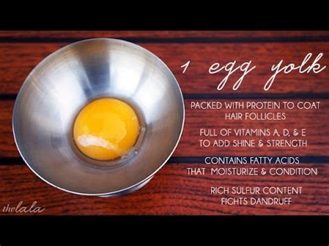 The yolk is especially helpful for dry, damaged hair and when used alone or with other ingredients, the treatment will give you. Hair loss treatment egg yolk and olive oil - how to do it ...