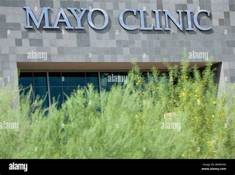 The Mayo Clinic In Arizona Stock Photo Alamy