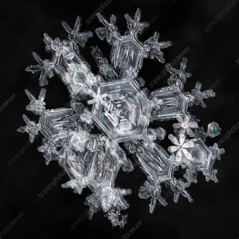 Snow Crystals Stock Image C0285900 Science Photo Library