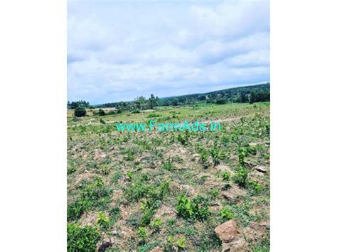 16 Acre Agriculture Land For Sale In Belur Belur Hassan