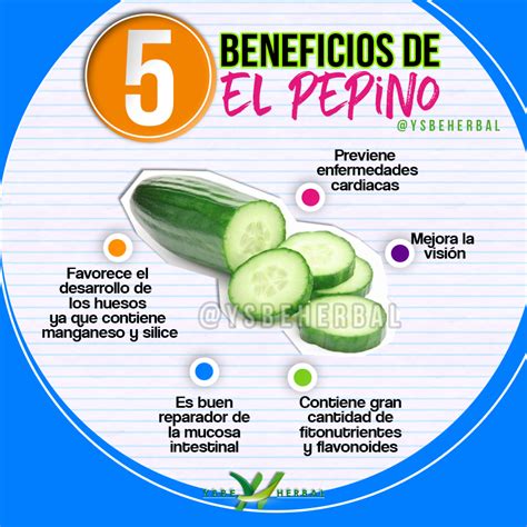 Beneficio De Pepino Frutas Y Verduras Beneficios Beneficios Del Pepino