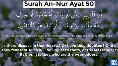 Surah An Nur Ayat 50 2450 Quran With Tafsir My Islam