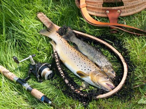 Do check them out and let us know if they work for you this season! Split shot rig (how to) » Fishing trout with Split Shot Rig
