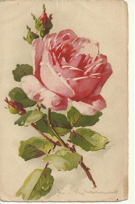 Vintage Rose Painting A Beautiful Piece Of Art In Lovely Condition
