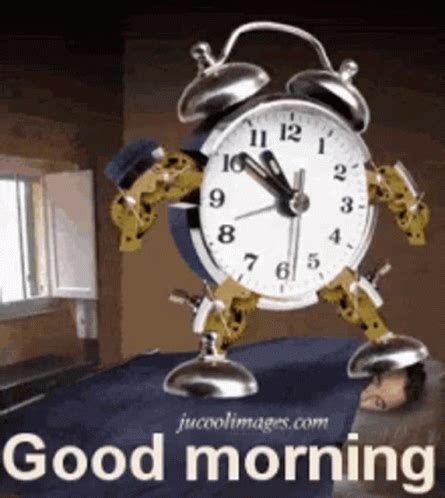 Good Morning Gif Good Morning Funny Discover Share Gifs