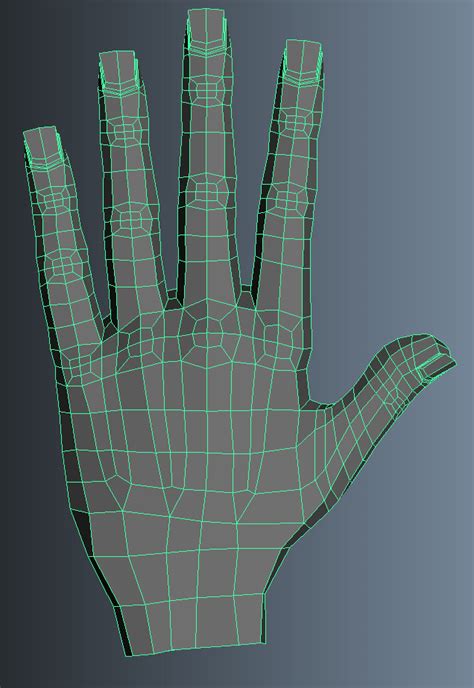 3d Model Hand Topology