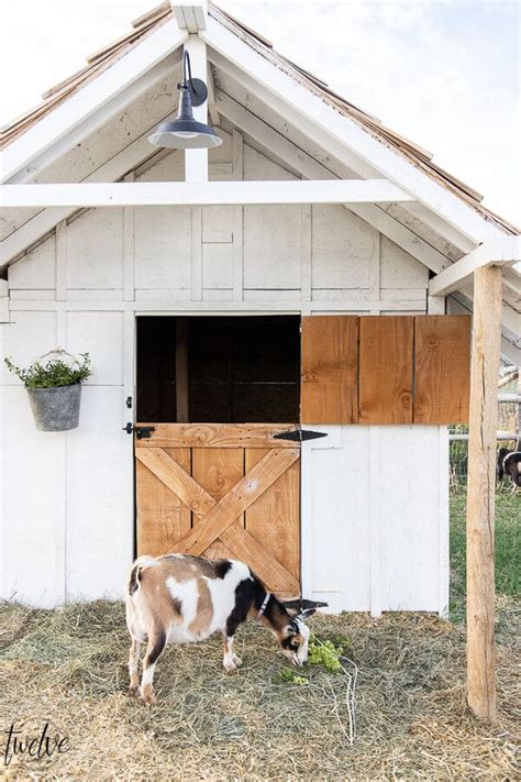 Simple And Stylish Goat House Design Goat House Goat Barn Goat Shelter